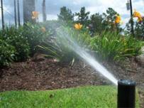 an arc head allows you to focus irrigation over a small area of your planting bed